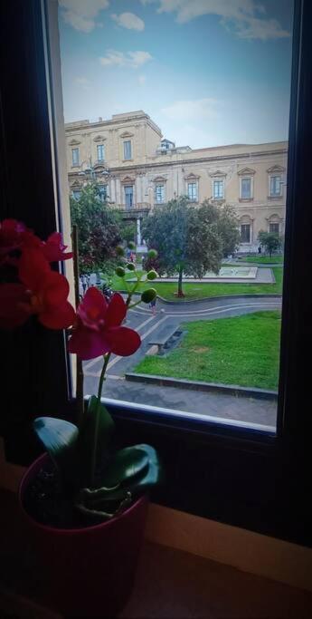 Dimora Cutelli Apartment Catania